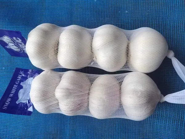 67a0e282-6110-4ccd-9e52-1c665f116c7c(001)