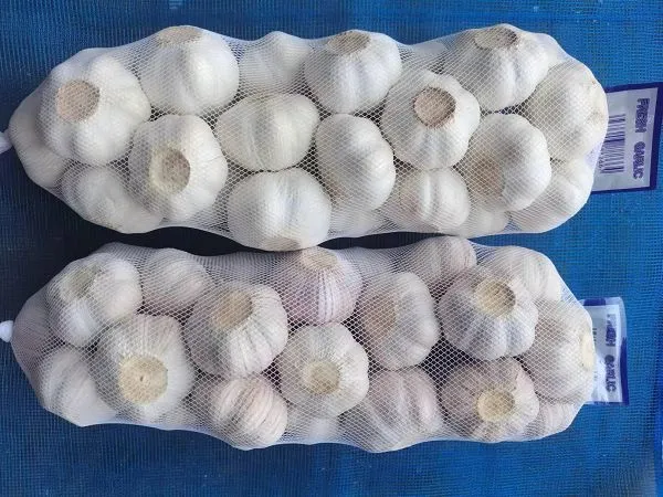 1048411c-6890-4831-9a6c-3a5865d35389(001)