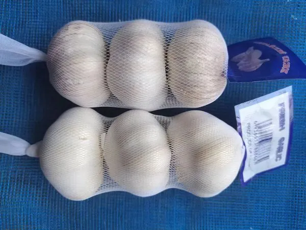 137e799b-e0c1-4f18-a317-7b90cd32f421(001)