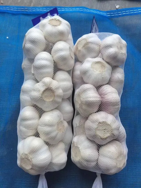 01edccd6-0b50-4c9b-baab-1c8554ae5ba7(001)