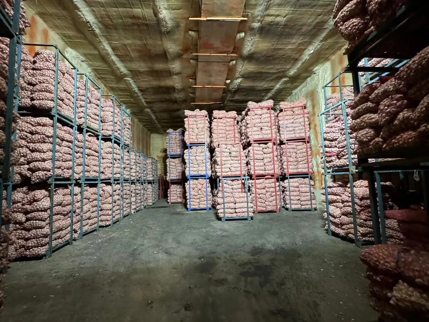 کولڈ سٹوریج میں لہسن