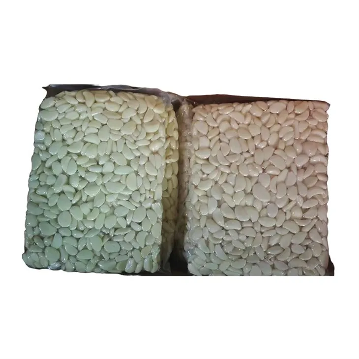 _20240227192049 _20240227192049