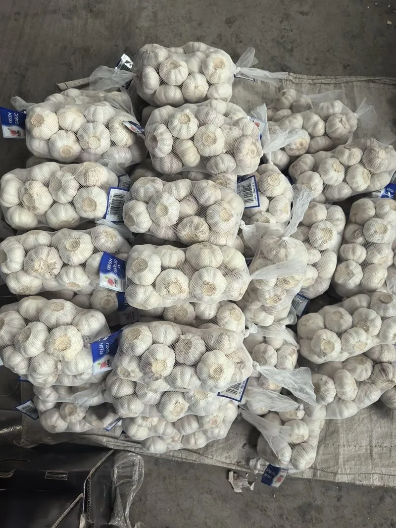 بگ نیٹ بیگ میں لہسن