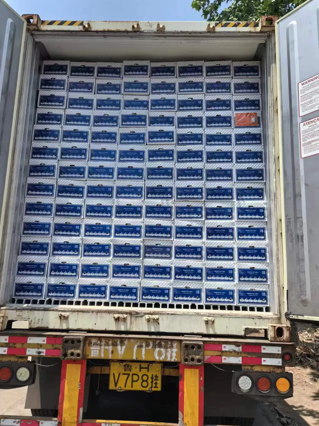 لہسن کی نقل و حمل