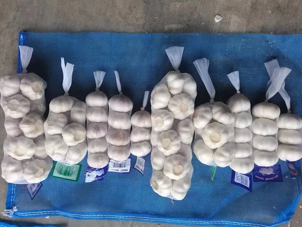 5.5 سینٹی میٹر لہسن