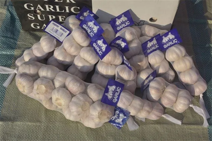 تازہ جنگلی لہسن