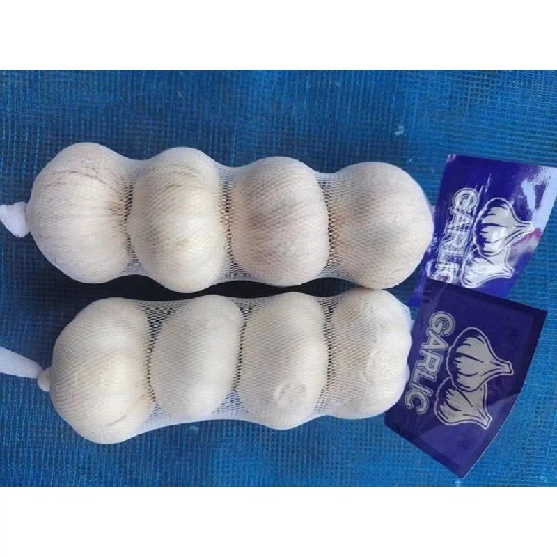 product-800-800 product-800-800