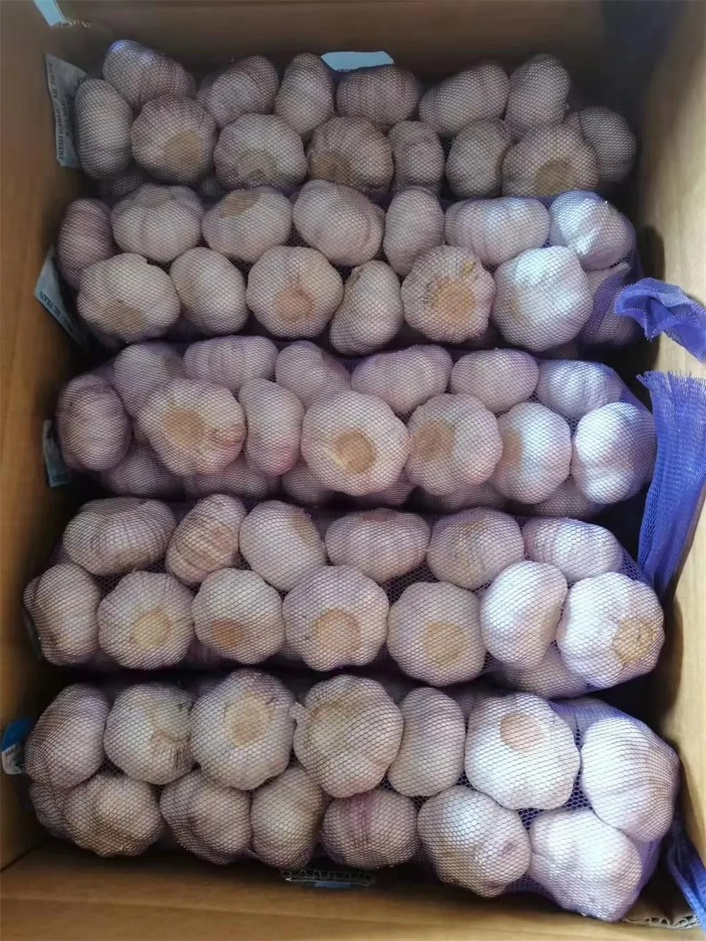 جامنی جلد والا لہسن