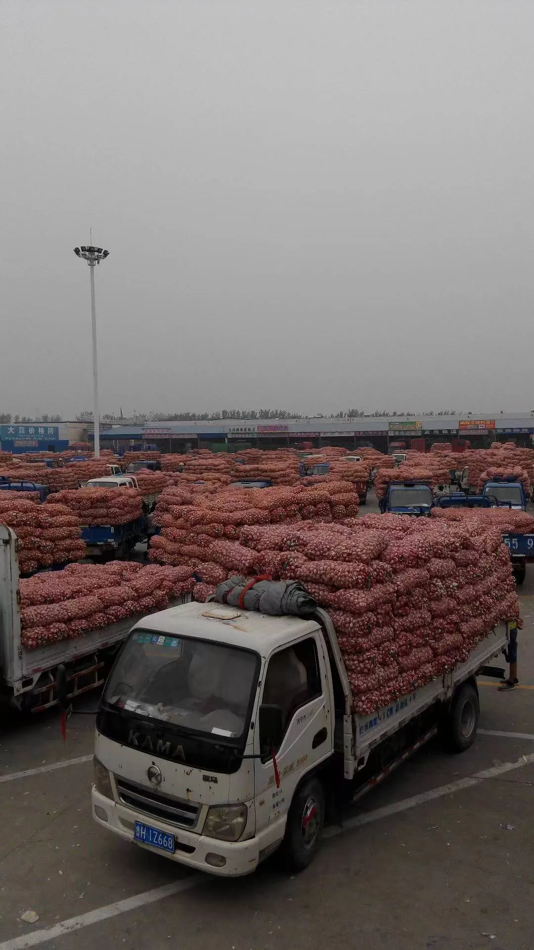 بازار سے لہسن