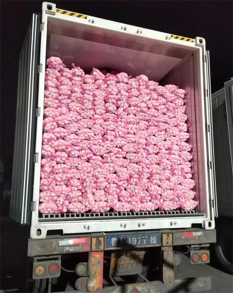 ریڈ نیٹ پاکٹ وائٹ لہسن